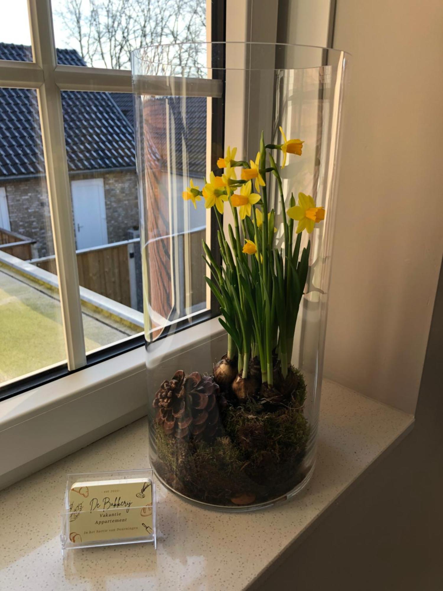 De Bakkerij Appartement Deurningen Buitenkant foto
