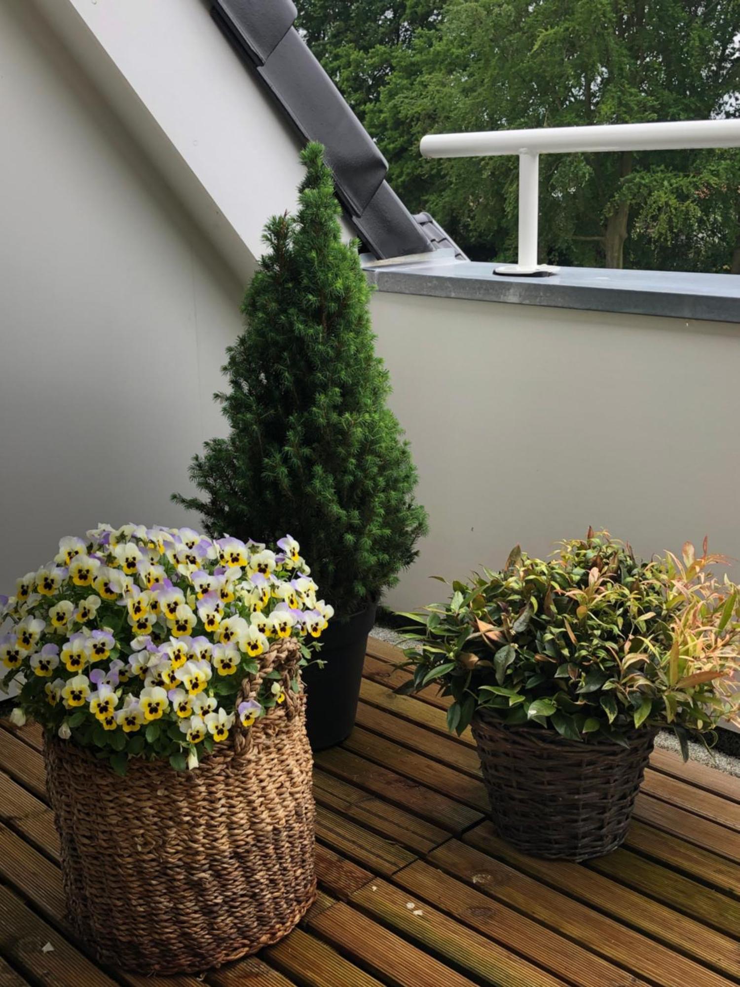 De Bakkerij Appartement Deurningen Buitenkant foto